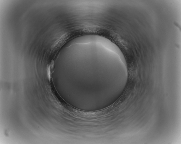 X0000098010027200804111244