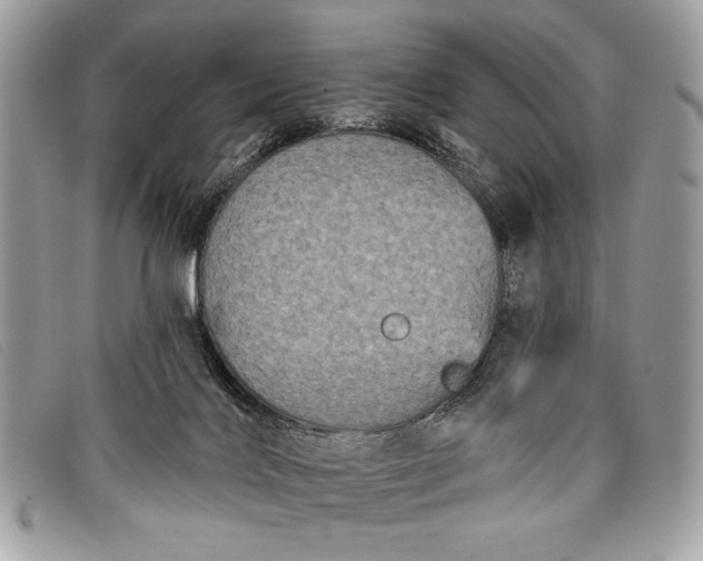 X0000098010028200804111244