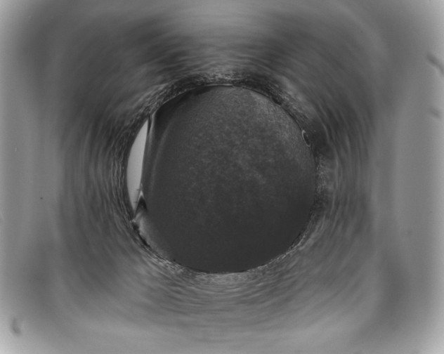 X0000098010029200804111244