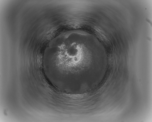 X0000098010030200804111244