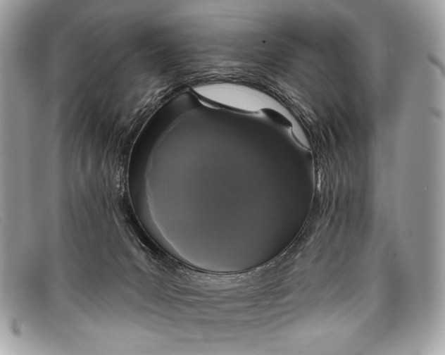 X0000098010031200804111244