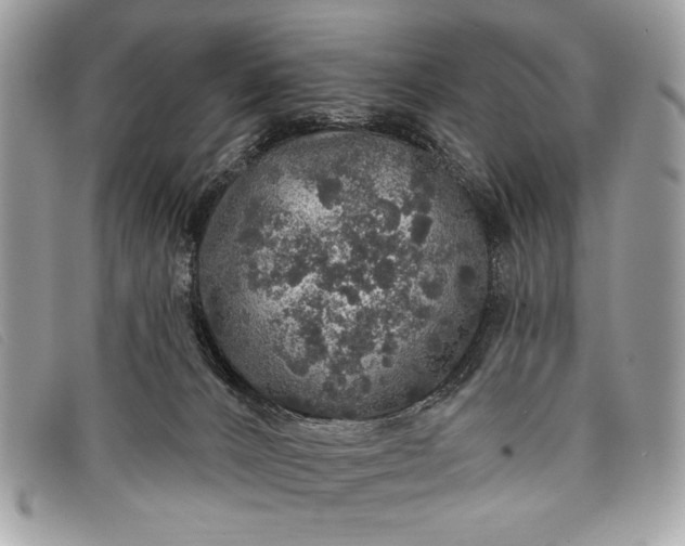 X0000098010032200804111244