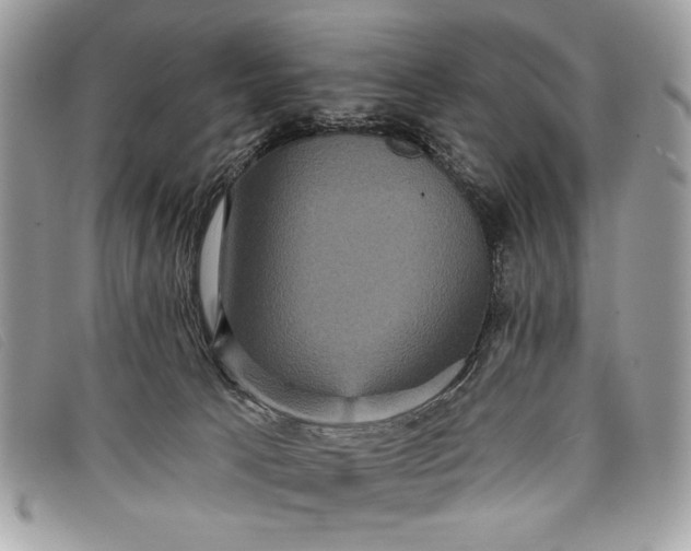 X0000098010033200804111244