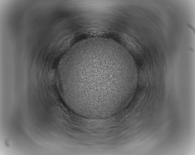 X0000098010034200804111244