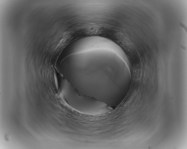 X0000098010035200804111243