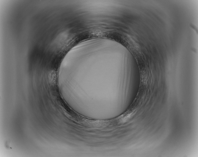 X0000098010036200804111243