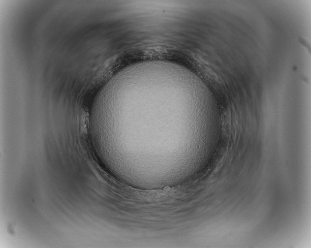 X0000098010038200804111243