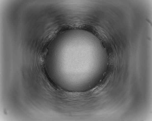 X0000098010040200804111243