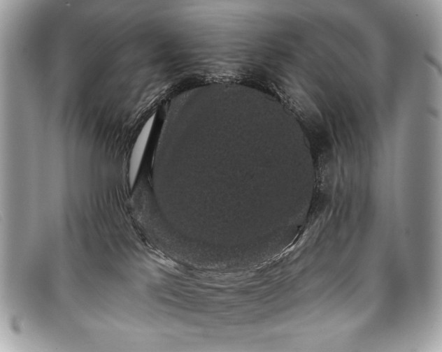 X0000098010041200804111243