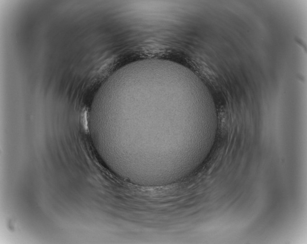 X0000098010042200804111243