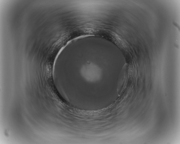 X0000098010043200804111243