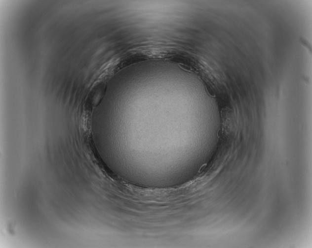 X0000098010044200804111243