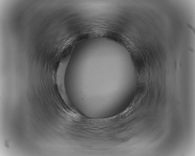 X0000098010045200804111243