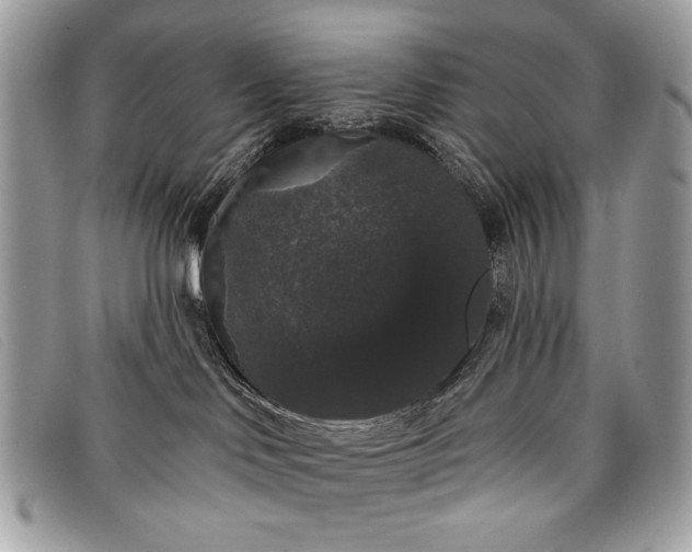 X0000098010046200804111243