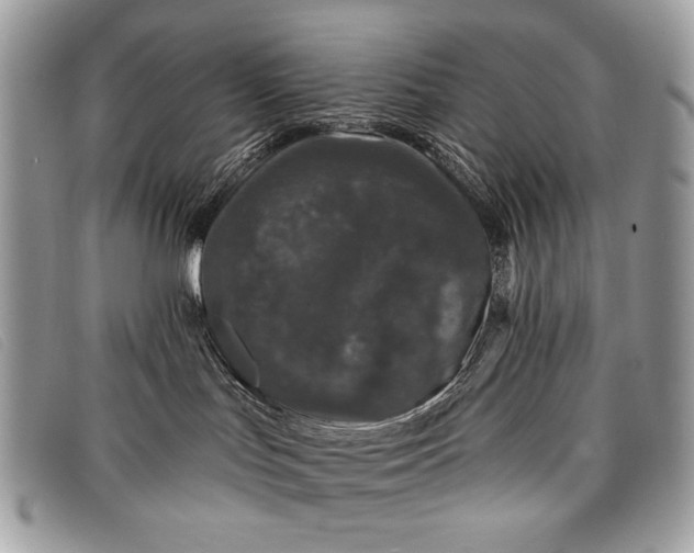 X0000098010047200804111243