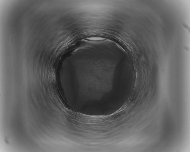 X0000098010048200804111243