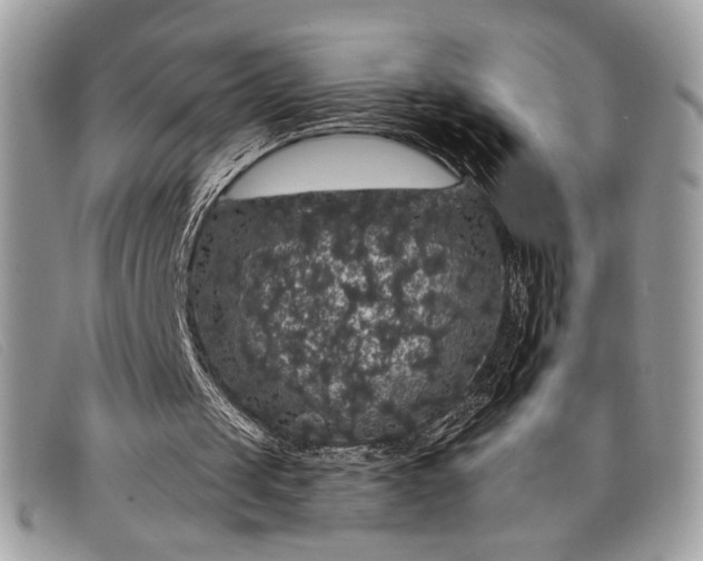 X0000098010049200804111242