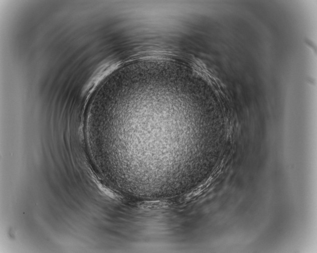 X0000098010050200804111242