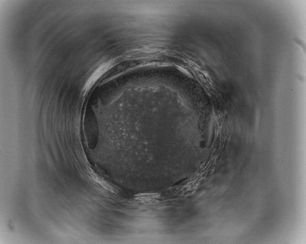 X0000098010051200804111242