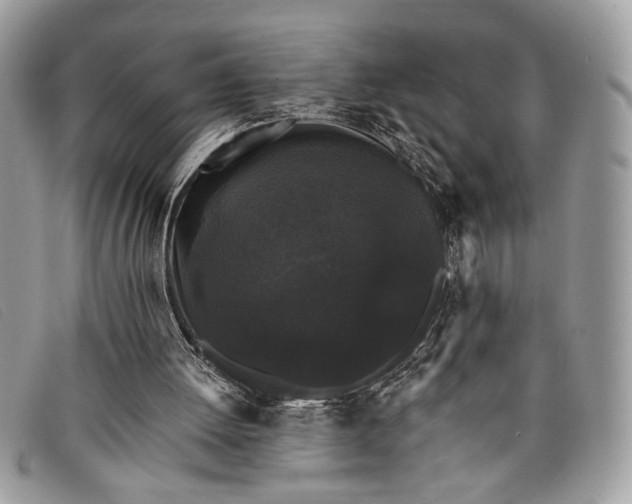 X0000098010052200804111243