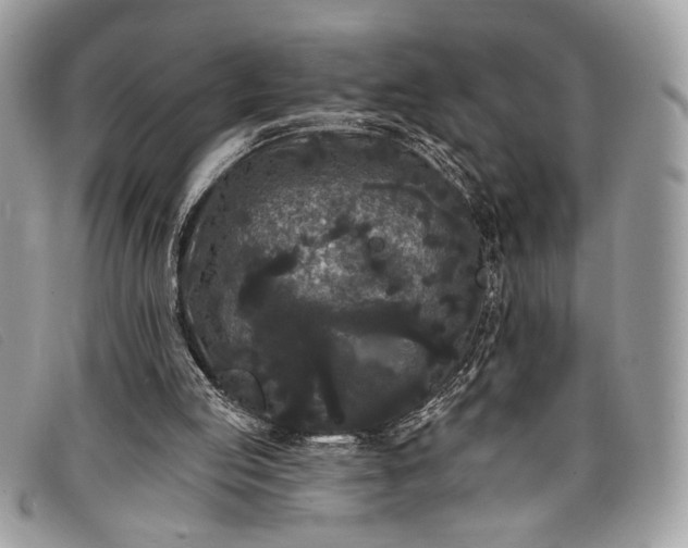 X0000098010053200804111243