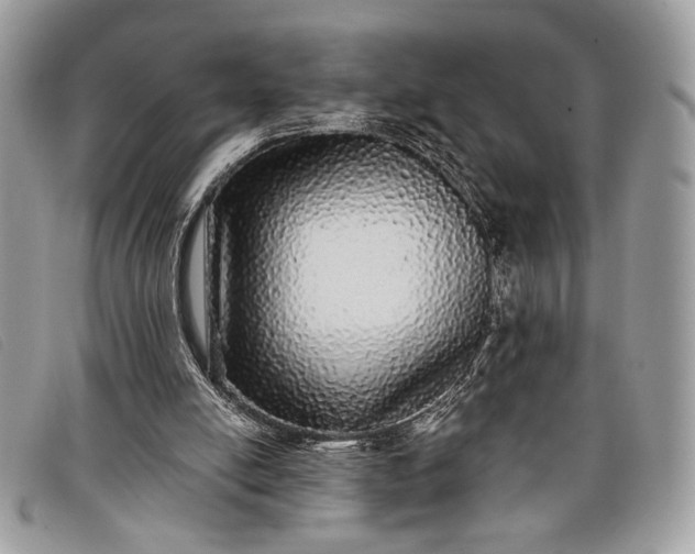 X0000098010054200804111243