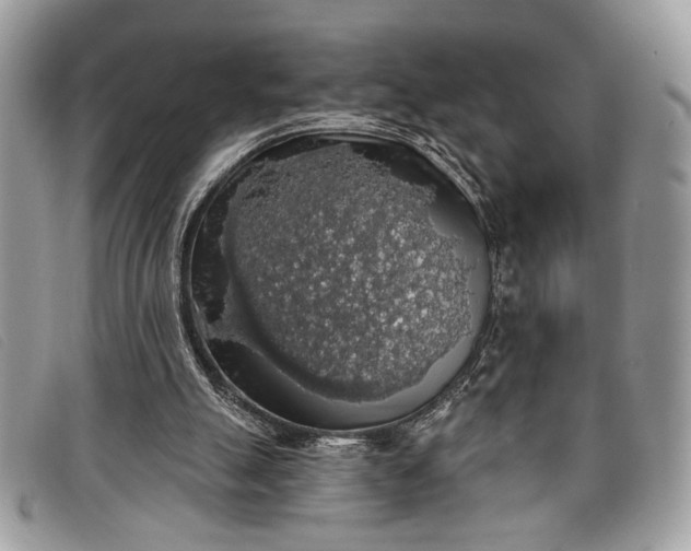 X0000098010055200804111243