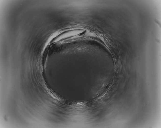 X0000098010056200804111243