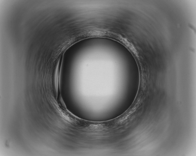 X0000098010057200804111243