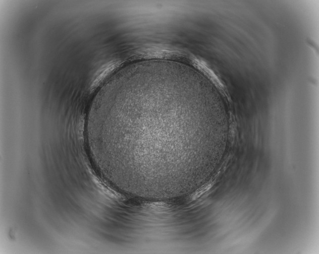 X0000098010058200804111243