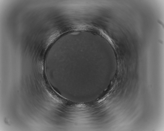 X0000098010059200804111243