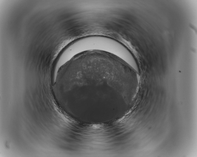 X0000098010060200804111243