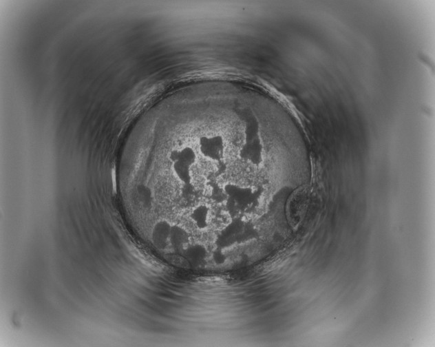 X0000098010061200804111243