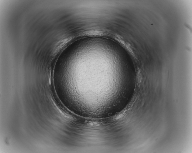 X0000098010062200804111243