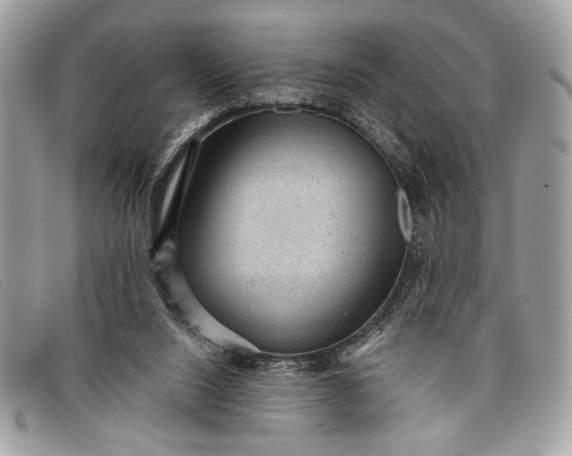 X0000098010064200804111243