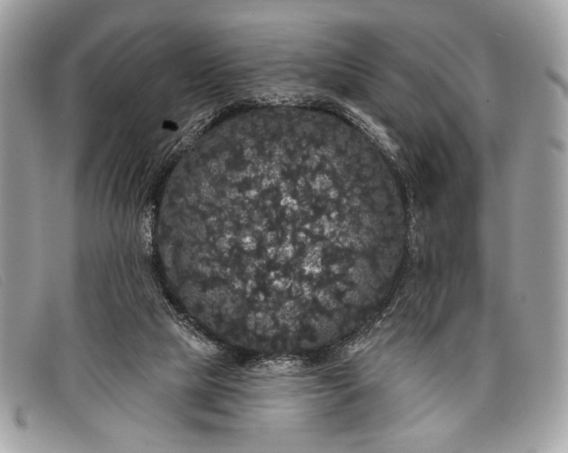 X0000098010065200804111243