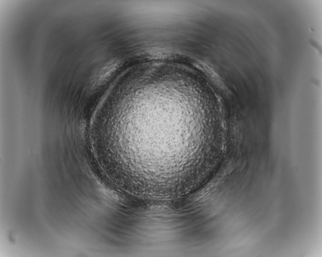 X0000098010066200804111243