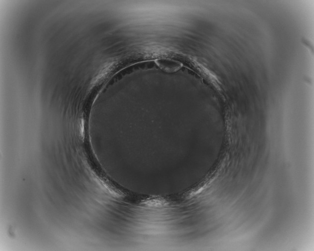 X0000098010067200804111243