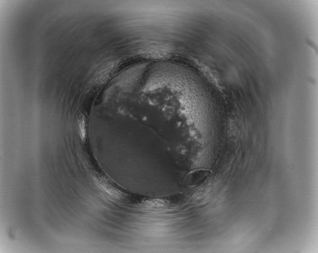 X0000098010069200804111243