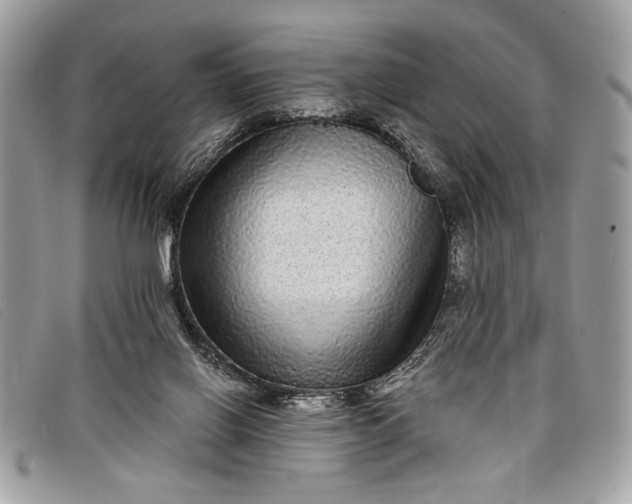 X0000098010070200804111243