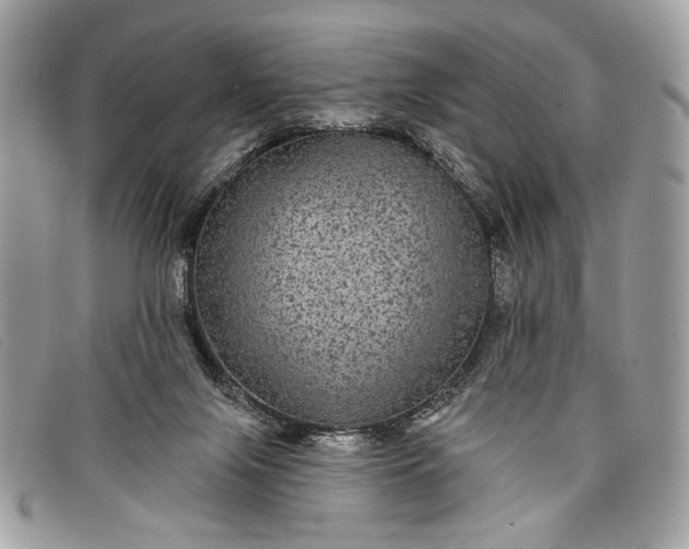 X0000098010071200804111243