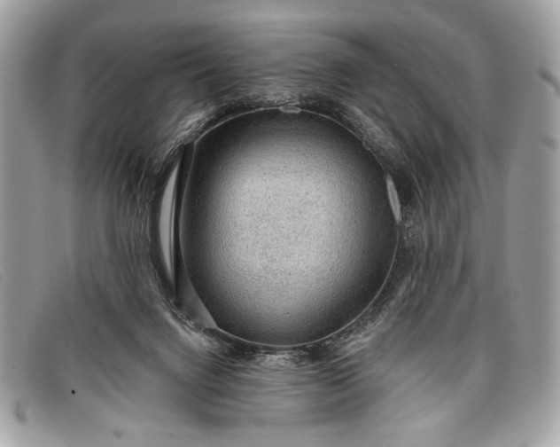 X0000098010072200804111243