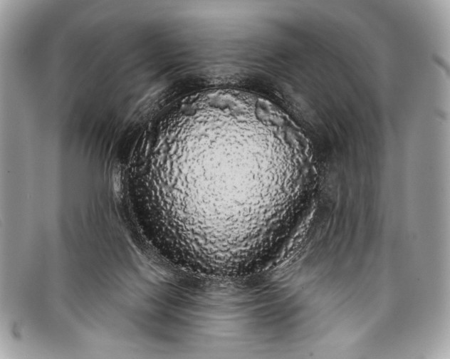 X0000098010074200804111243