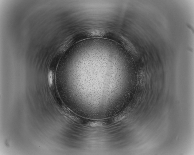 X0000098010075200804111243