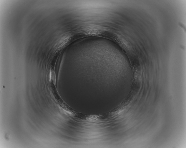 X0000098010076200804111243