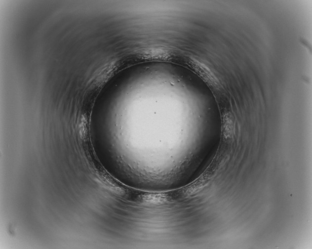 X0000098010077200804111243