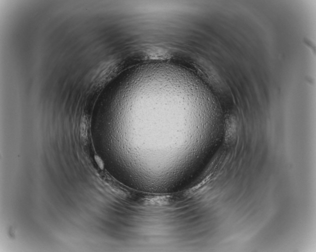 X0000098010078200804111243