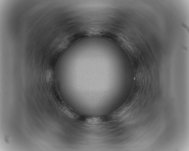 X0000098010079200804111243