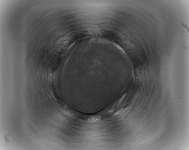 X0000098010080200804111243