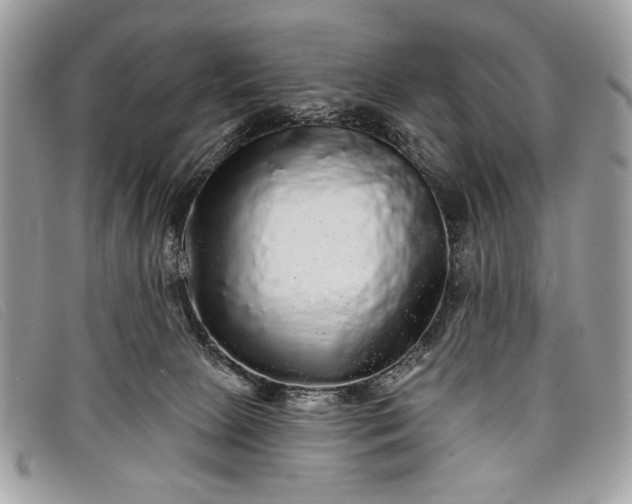 X0000098010081200804111243